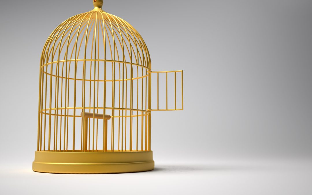 #387 - The Golden Cage - Selina Man Karlsson